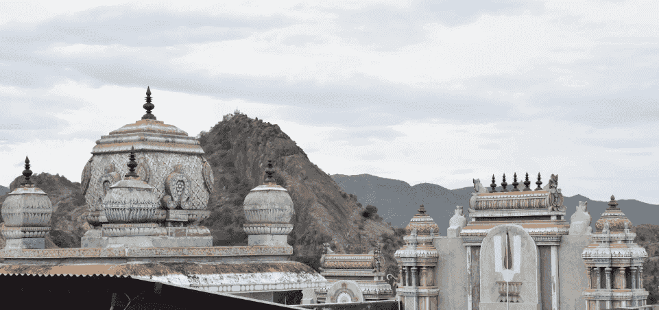 Tirumalai Srinivasa Perumal Temple - View 3