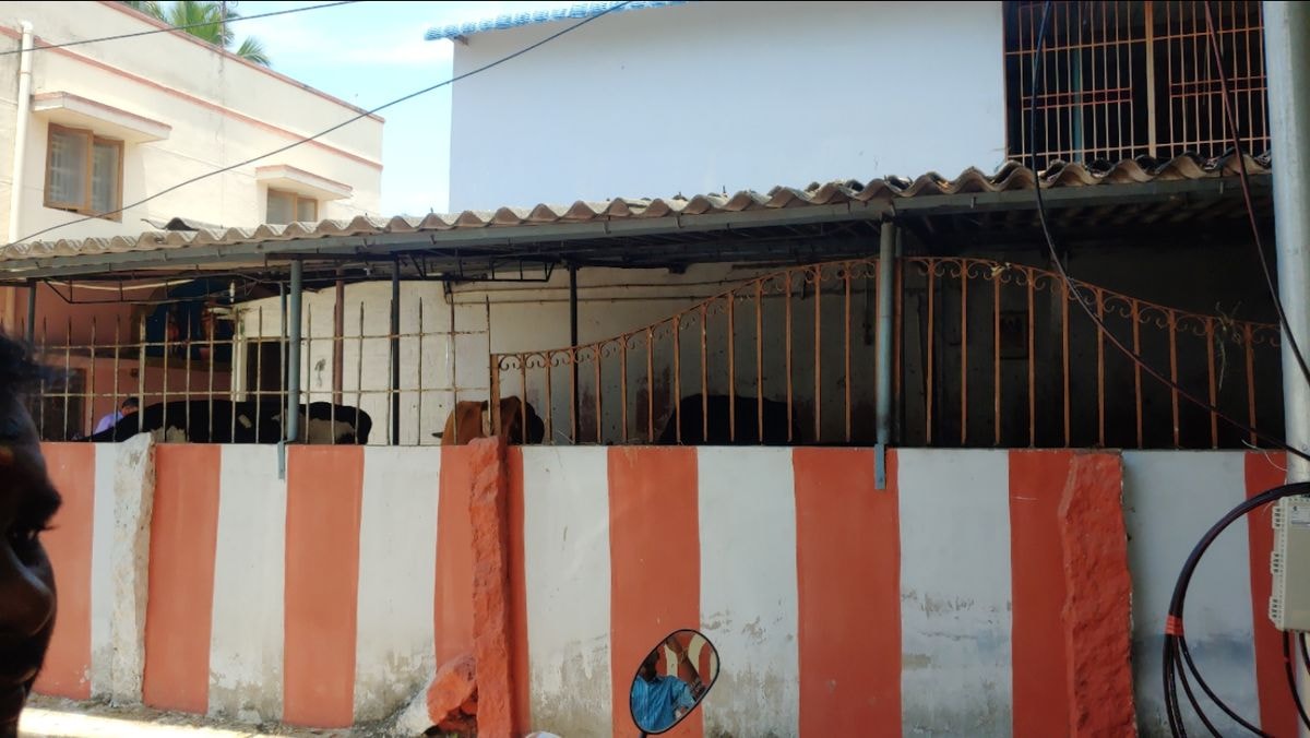 Srri Bhuvanashwari Temple